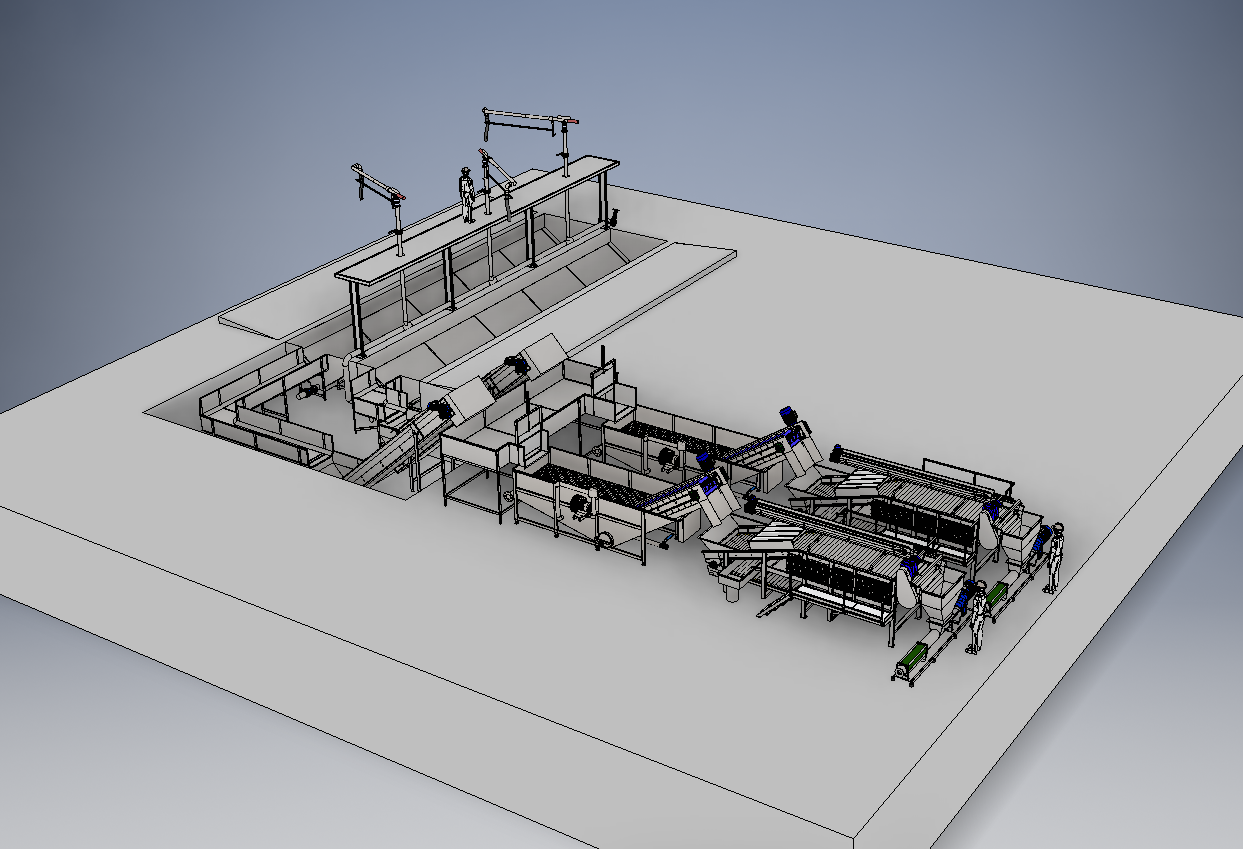 Meyve Sebze Ön İşleme Hattı